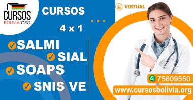 4 Cursos virtuales Salmi - Sial - Soaps SnisVe