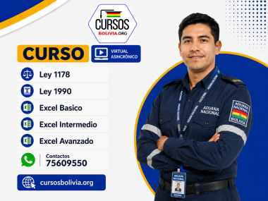 5 Cursos virtuales Ley 1178 - Ley 1990 - Excel Basico - Excel Intermedio y Excel avanzado